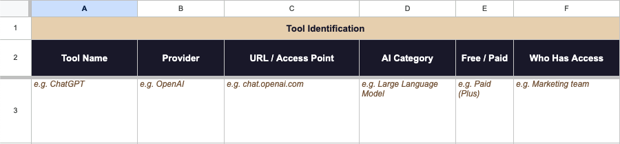 Example of the 'tool identification' section of the AI Tool Audit Register